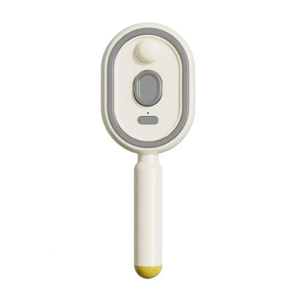 Electric Spray Air Cushion Massage Comb